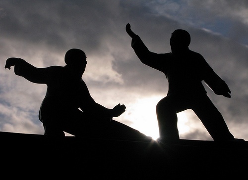 Understand value of Tai Chi at workshop