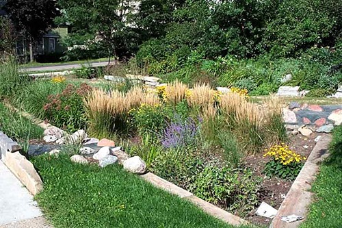 Extension offers rain garden workshop