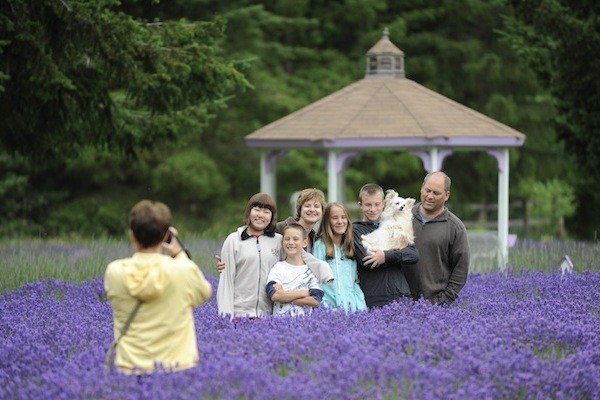 Rain falls on purple parade