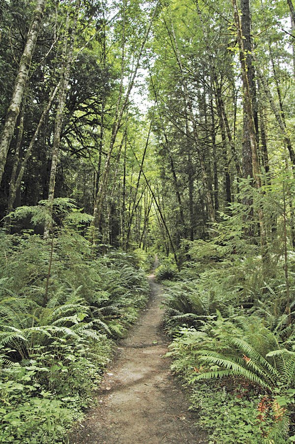 Spruce Railroad Trail  to get improvements