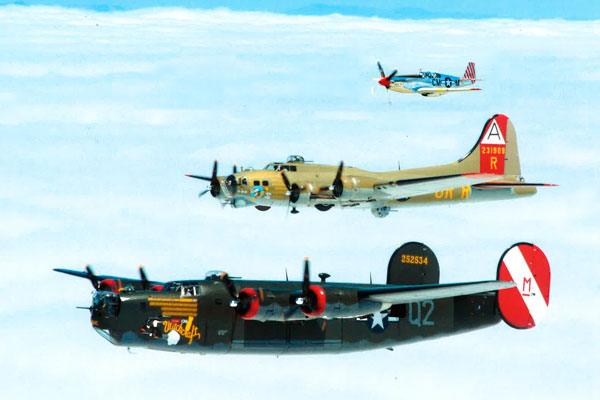 ‘Wings of Freedom’ coming to peninsula