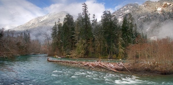 Elwha efforts get $1M grant