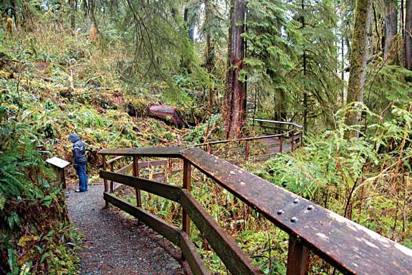 Hidden treasures in the Quinault