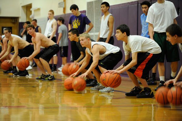 Boys Basketball preview: Wolves bulk up for title run