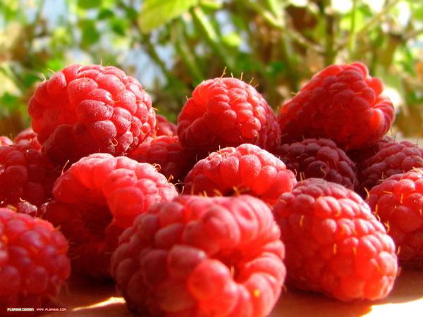 Red raspberries.