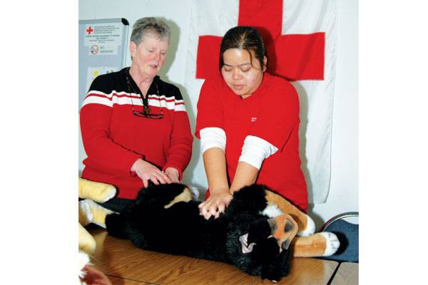 To save a pet, take Tuesday night’s class