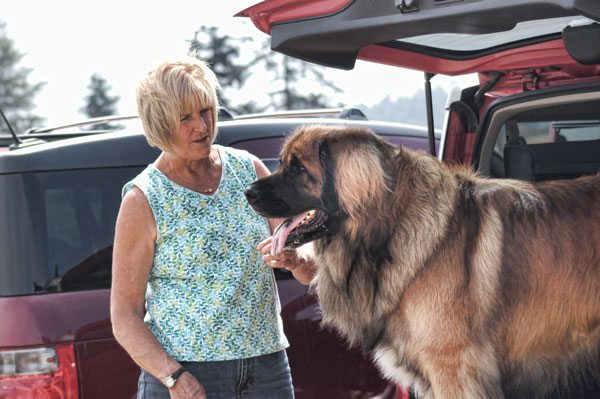 For Kennel Club, quite a show