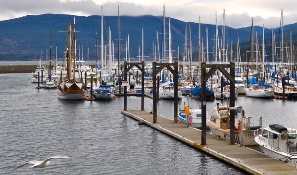 Locals say no tsunami impact in Sequim