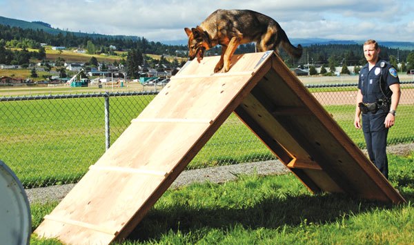 Obstacle course under construction at dog park | Sequim Gazette