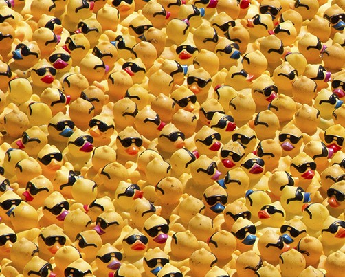 Bremerton man takes top prize at Duck Derby