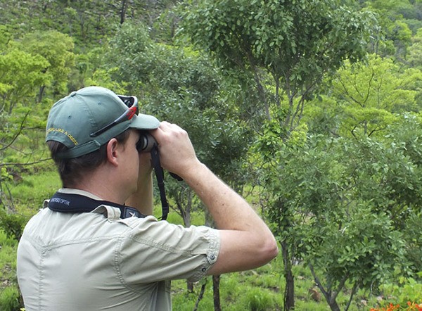 Backyard Birding series resumes