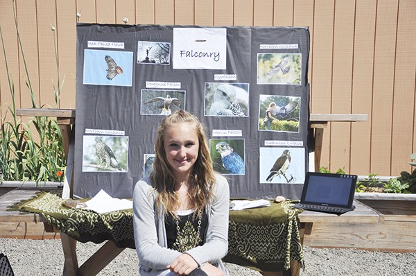 Olympic Peninsula Academy seventh-grader Olivia Hare poses with her display board on falconry. The academy’s annual Celebration of Learning was held in June