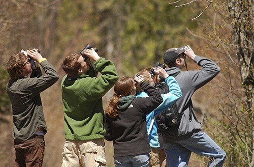 ‘Backyard Birding’ classes to begin