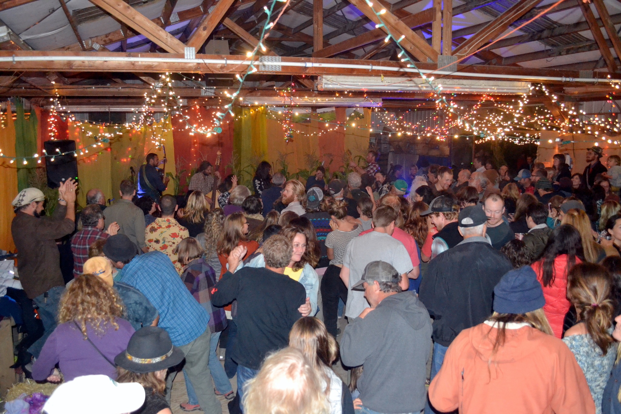 Organizers of Nash’s Barn Dance with the band Polecat estimate about 350 people attended the event following the 20th annual Clallam County Farm Tour. Alcohol proceeds and some ticket sales went to helping the North Olympic Land Trust purchase the Historic Ward Farm by the Dungeness River. Sequim Gazette photo by Matthew Nash