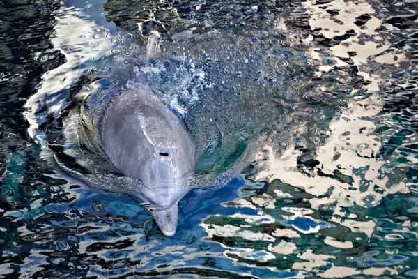 Sequim photographer Christina Heliker’s “Breathe” is one of many pieces chosen for the Olympic Peninsula Art Association’s 40th Juried Art Show on display at the Port Angeles Fine Arts Center through June 26.