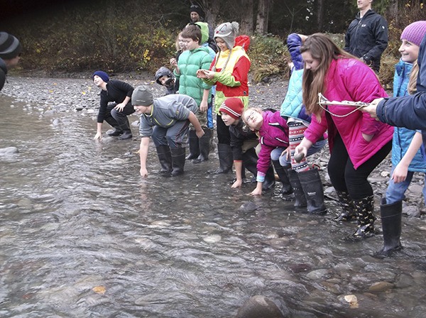 Students in Rebecca Bullard’s Olympic Peninsula Academy fifth-grade class collect random rock samples during a recent field trip to Railroad Bridge Park.