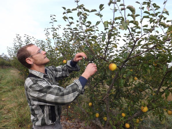 Arborist Josh Dallen presents “Basic Tree Physiology for the Homeowner” on Dec. 12.