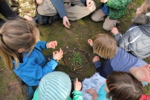 Olympic Nature Experience gets a boost with $10,500 grant