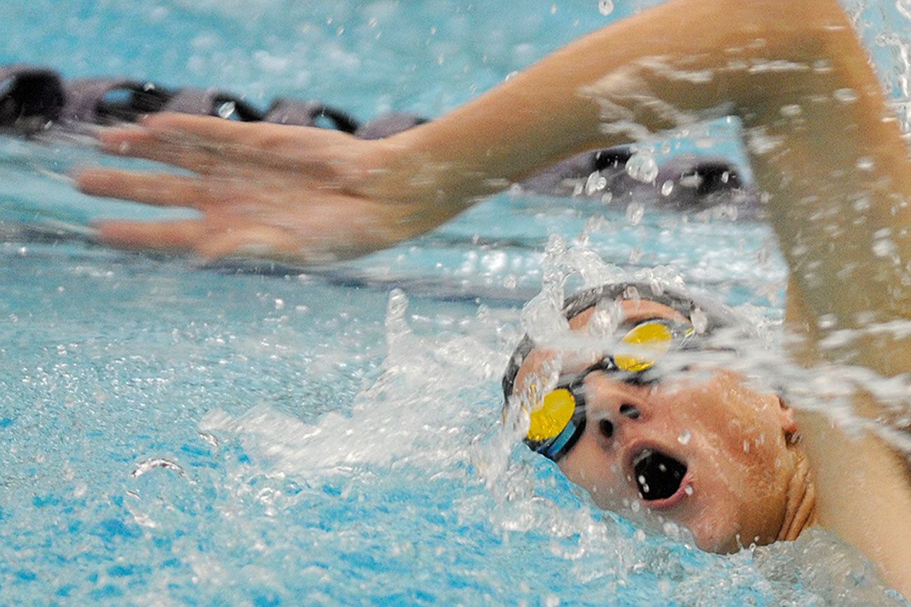 Boys swimming: Wolves set eight best marks in loss to Kingston