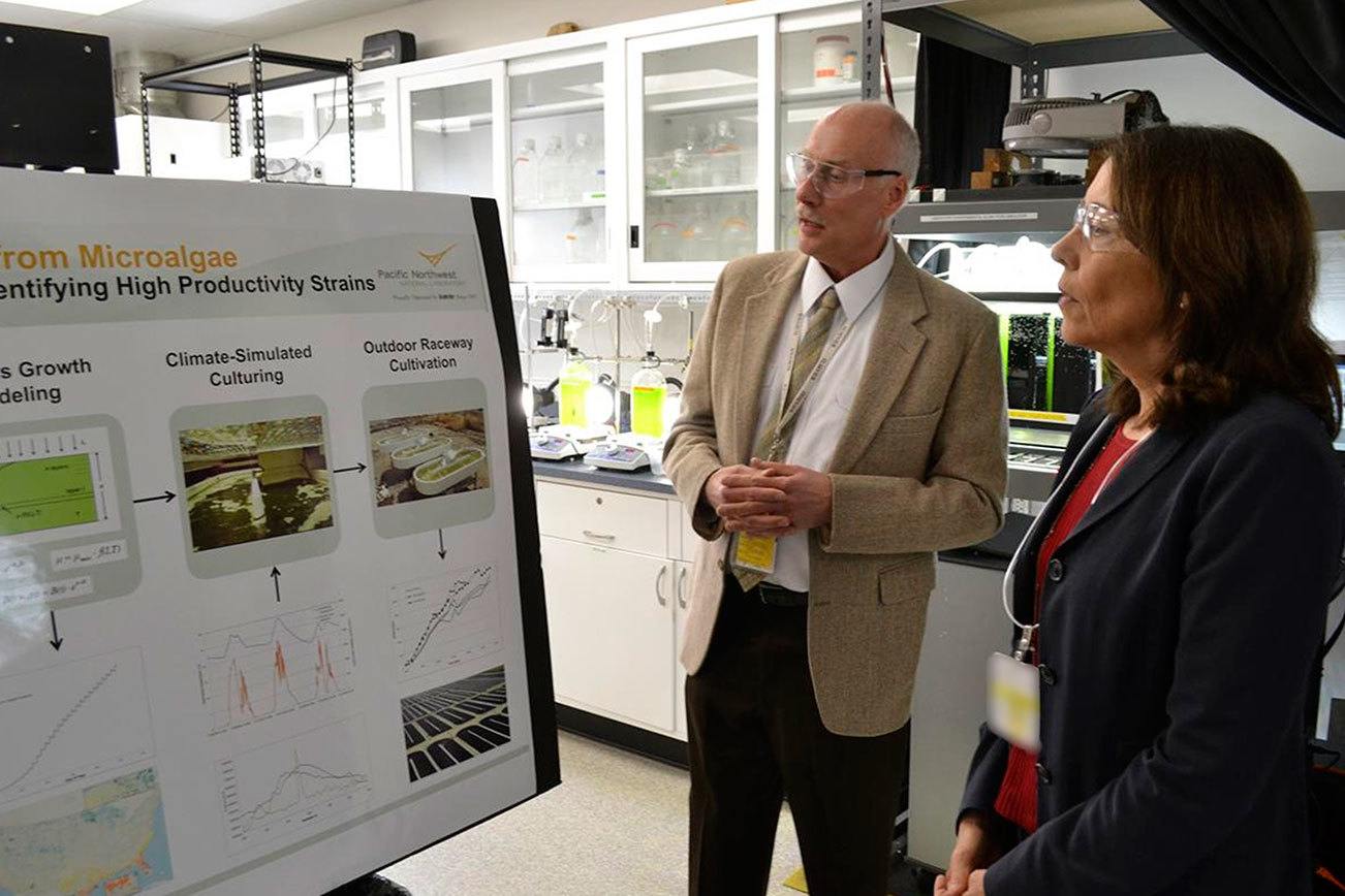 Sequim lab looks to find the best biofuel in algae