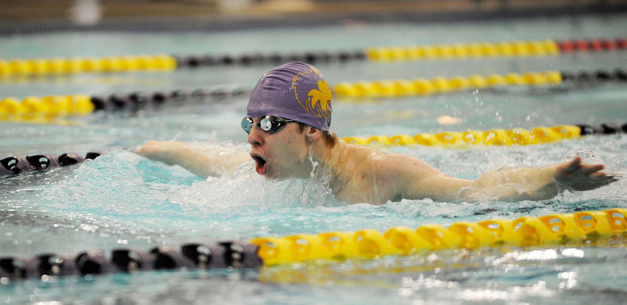 Boys swimming: Wolves finish strong in final home meet