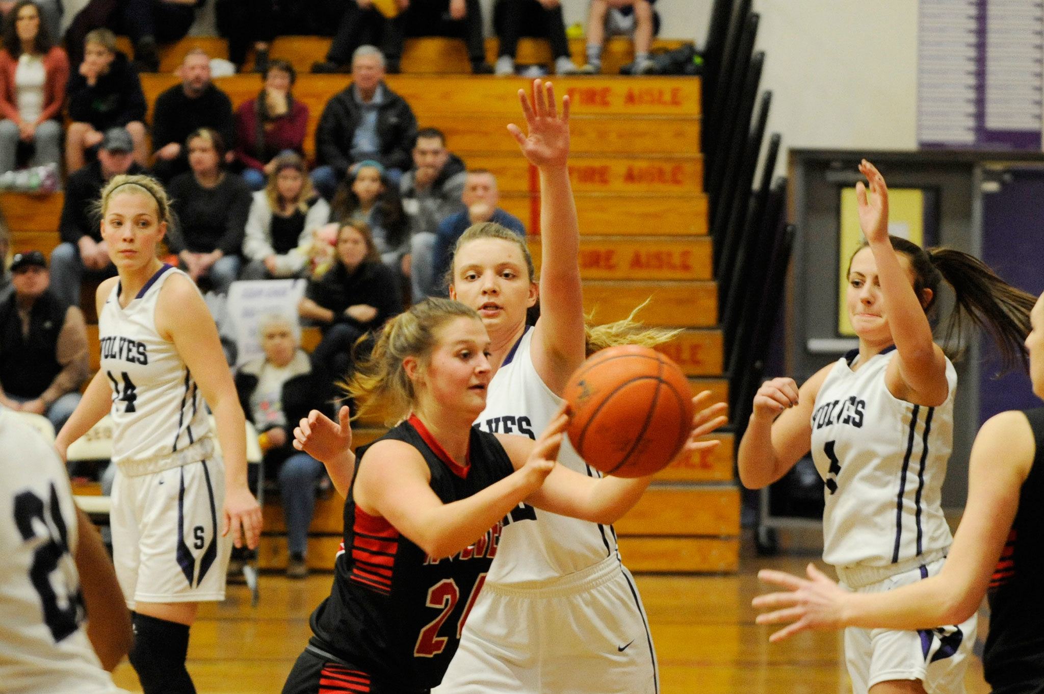 Girls basketball: Wolves win tiebreaker, move on to districts