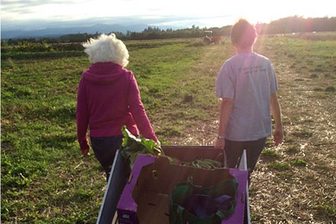 Food finding new paths to those in need