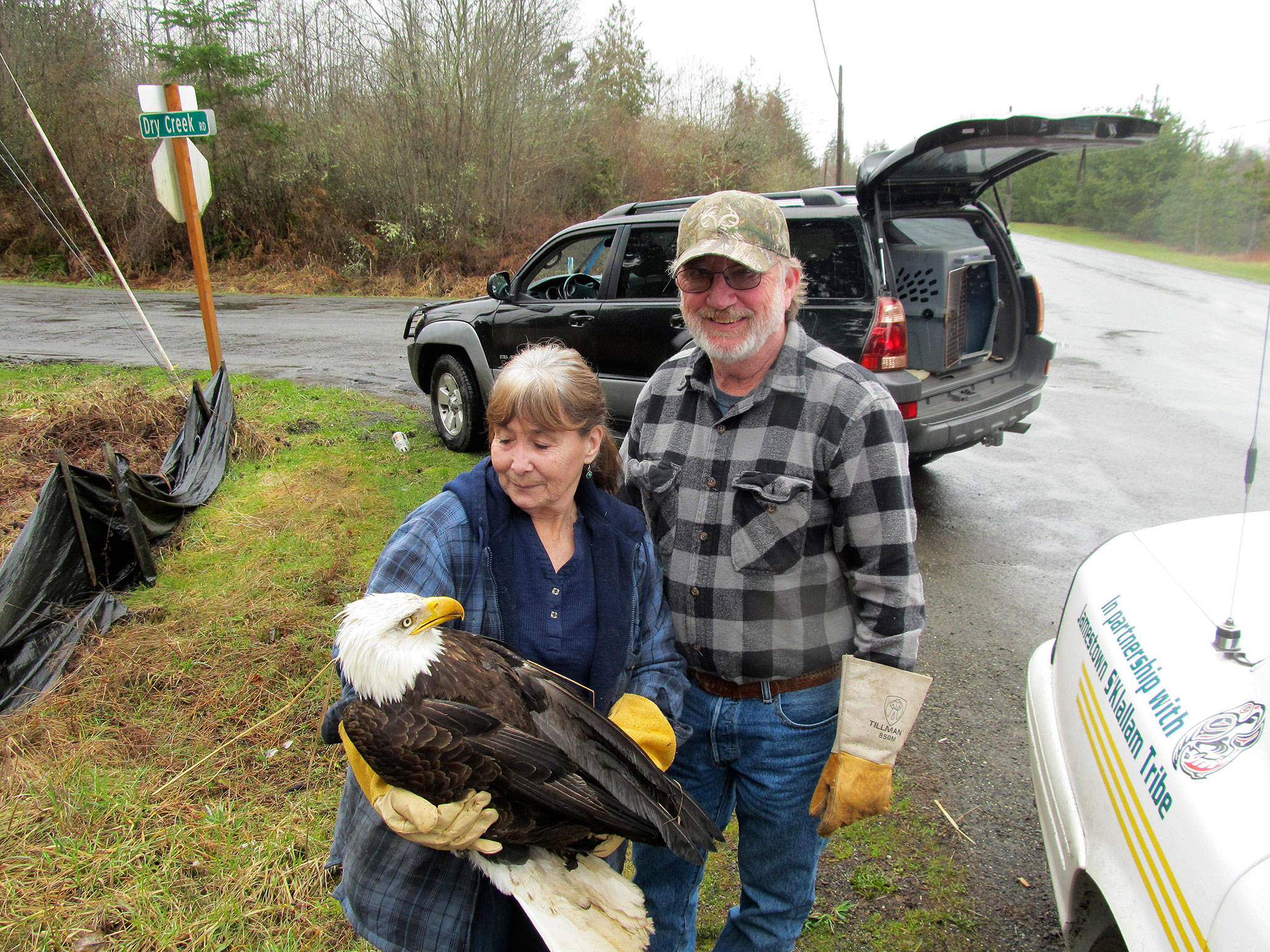 Local entities help rescue bald eagle