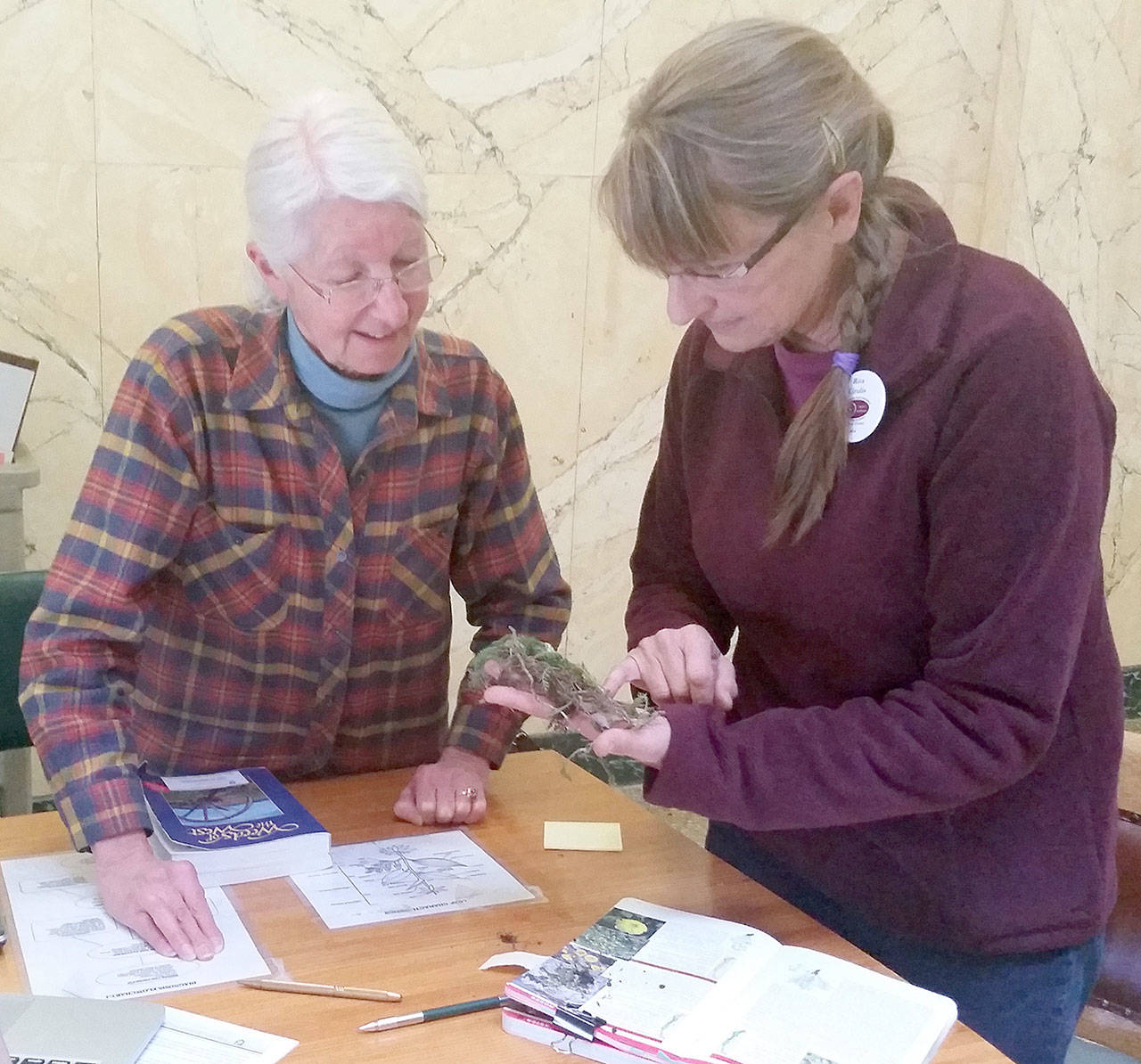 Veteran Master Gardeners Francoise Pearlman and Rita Cirulis investigate the identity of a garden weed at a Plant Clinic. Submitted photo