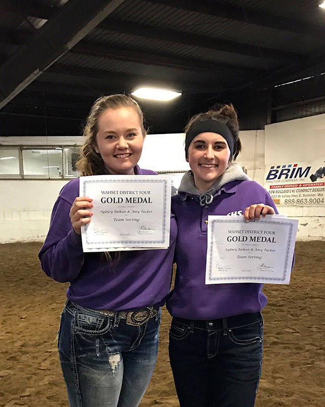 Sequim equestrians compete at third district meet