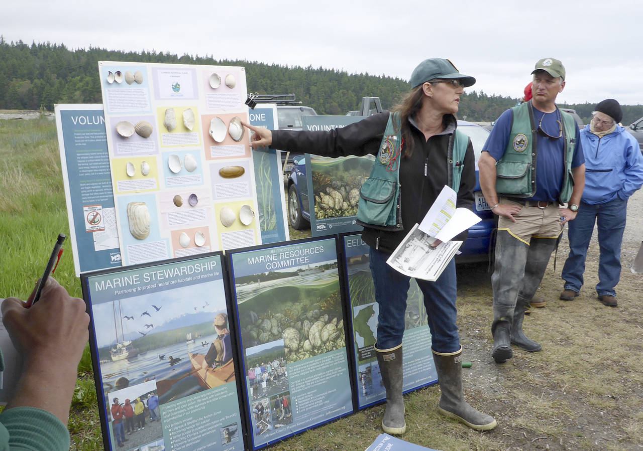 Digging for Dinner in Quilcene on May 13