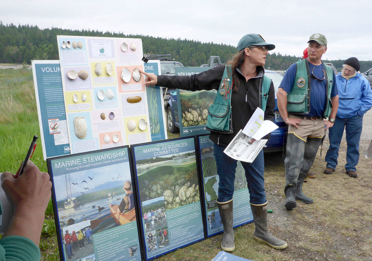 Digging for Dinner in Quilcene on May 13