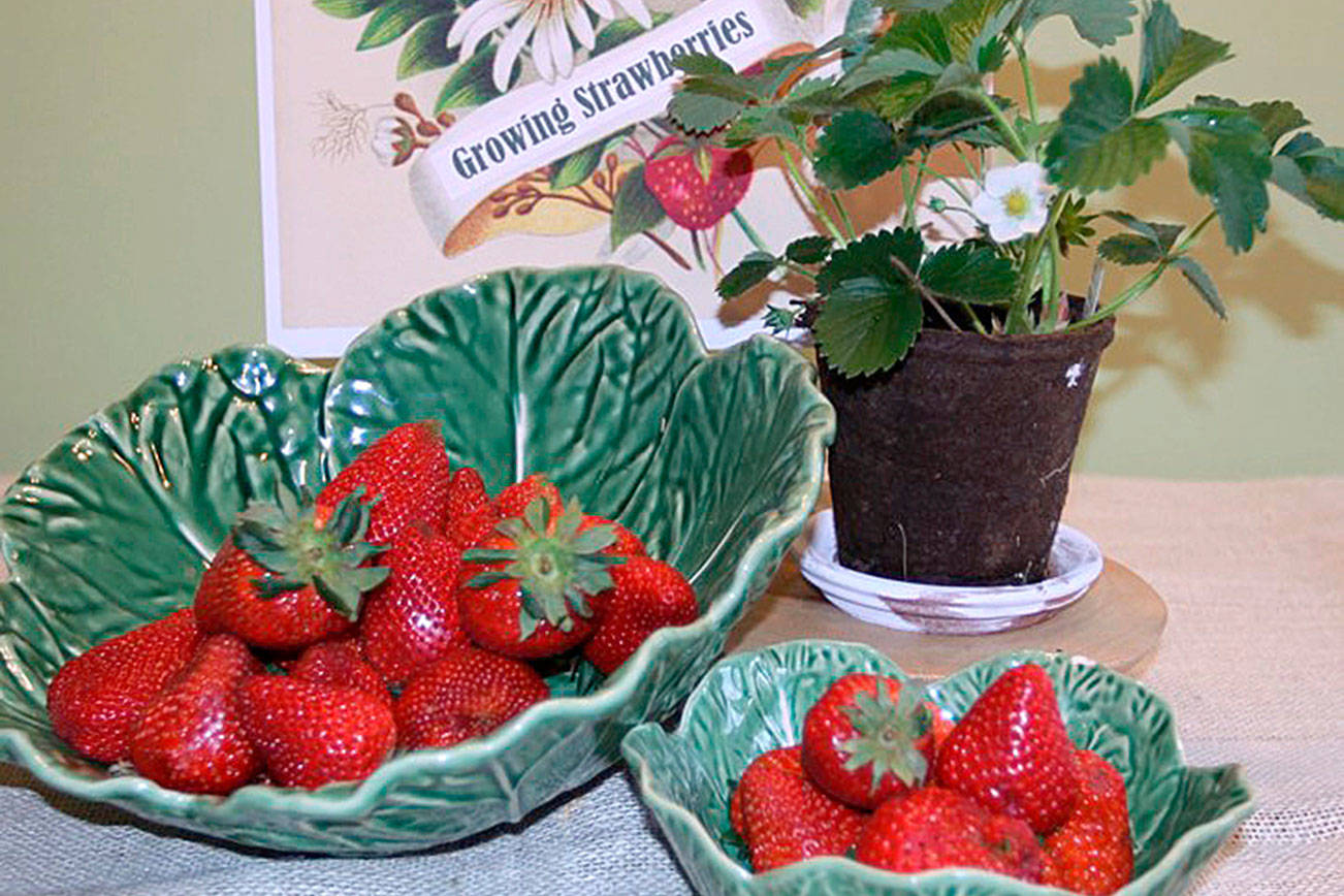 Get It Growing: Growing strawberries