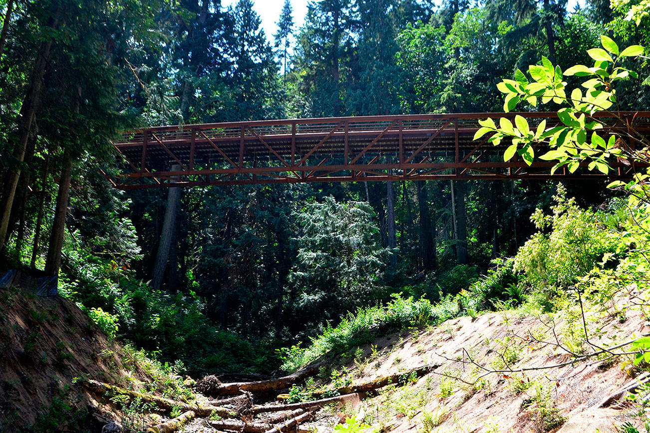 Fish passage projects continue from state park to highway