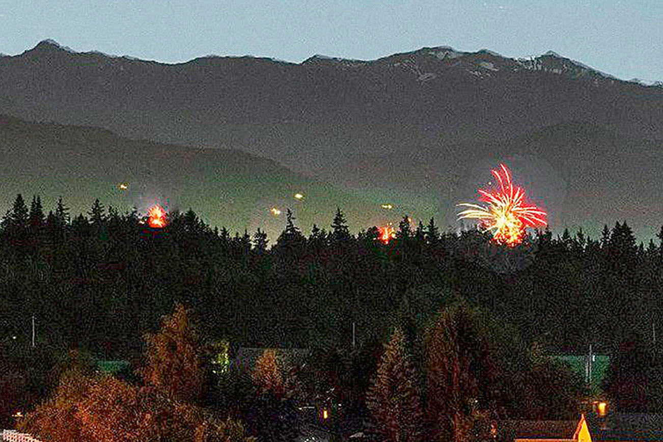 Sequim sees one fireworks-related fire on Fourth of July weekend