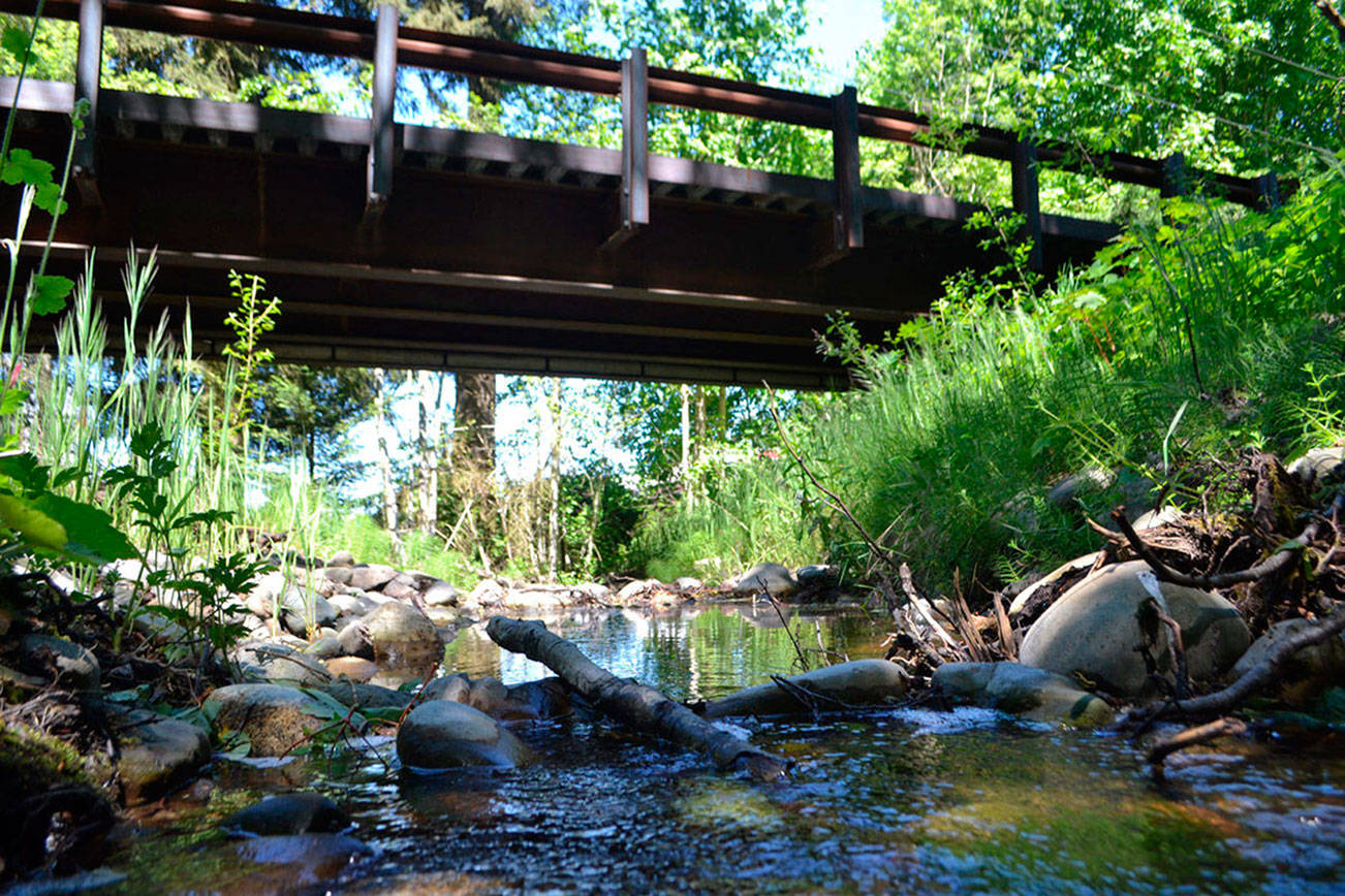 Crews begin Matriotti Creek culvert replacement July 31 under U.S. Highway 101