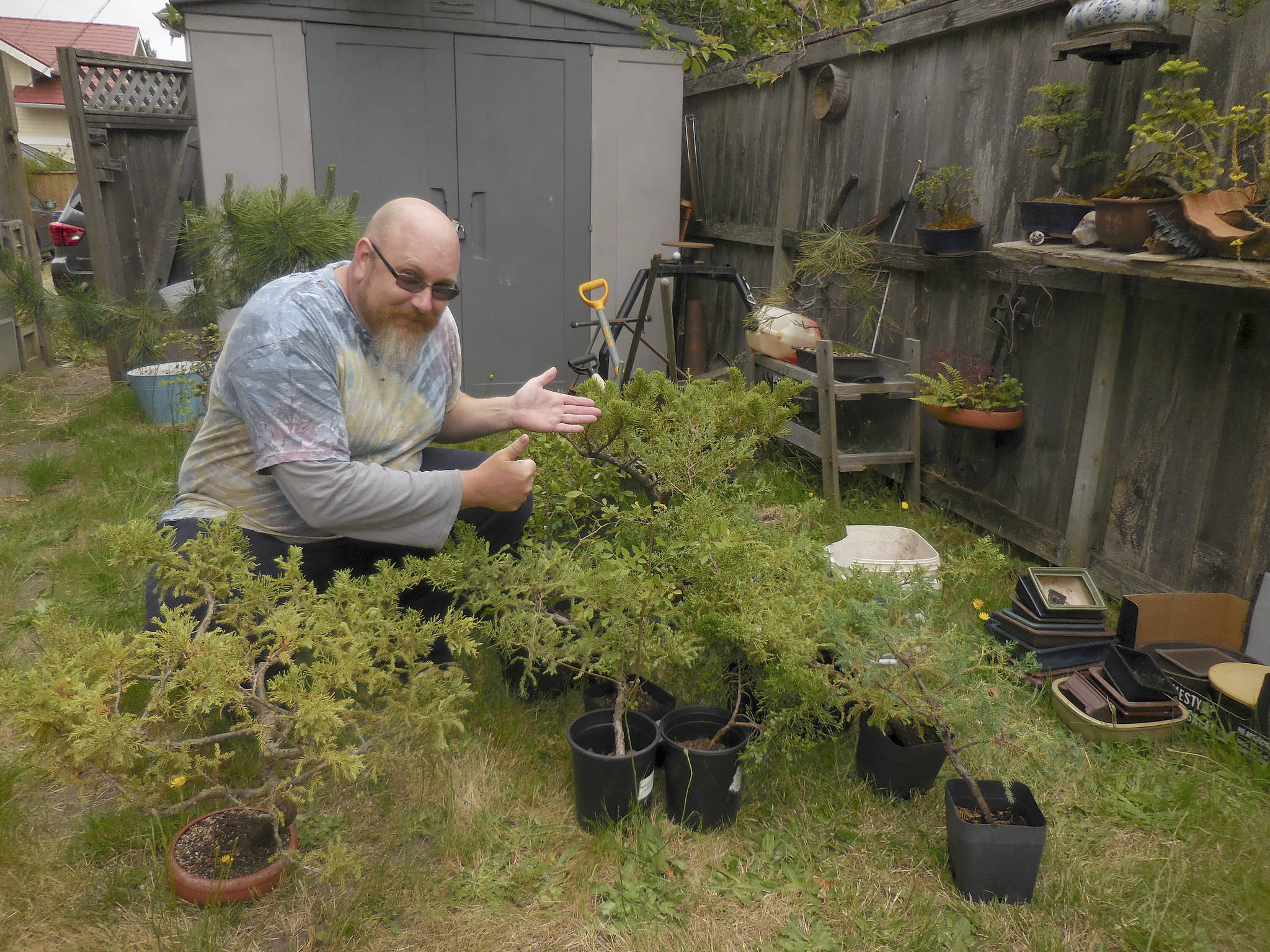 Marty Brown, a science teacher and leader of Gray Middle School’s Bonsai Club in Tacoma, kneels with recent bonsai donations from the Dungeness Bonsai Society in the Sequim area. The school’s greenhouse was vandalized in May twice leading individuals bonsai clubs across the country to help the teens out with new trees, pots and more than $5,000 in donations. Photo courtesy of Ron Quigley