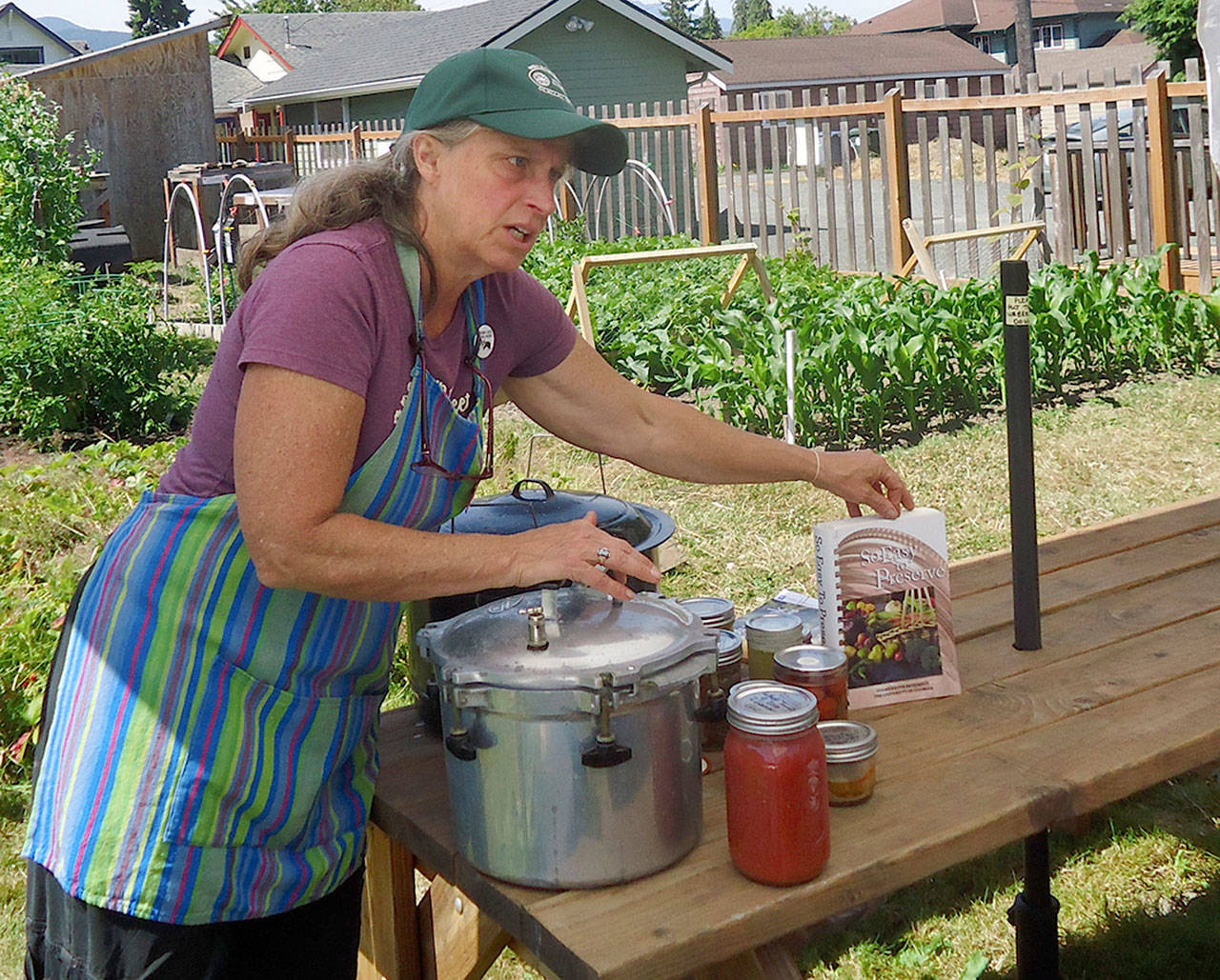 Betsy Wharton, Master Gardener and WSU Clallam Extension food preservation adviser, will demonstrate how to make fermented pickles on Saturday, Aug. 12, as part of the Second Saturday Garden Walk at the Fifth Street Community Garden, 328 E. Fifth St., Port Angeles. The walk, sponsored by WSU Clallam County Master Gardeners, is designed to help home gardeners learn what needs to be done in the vegetable garden and berry patch each month and what problems are likely to appear throughout the growing season. Submitted photo