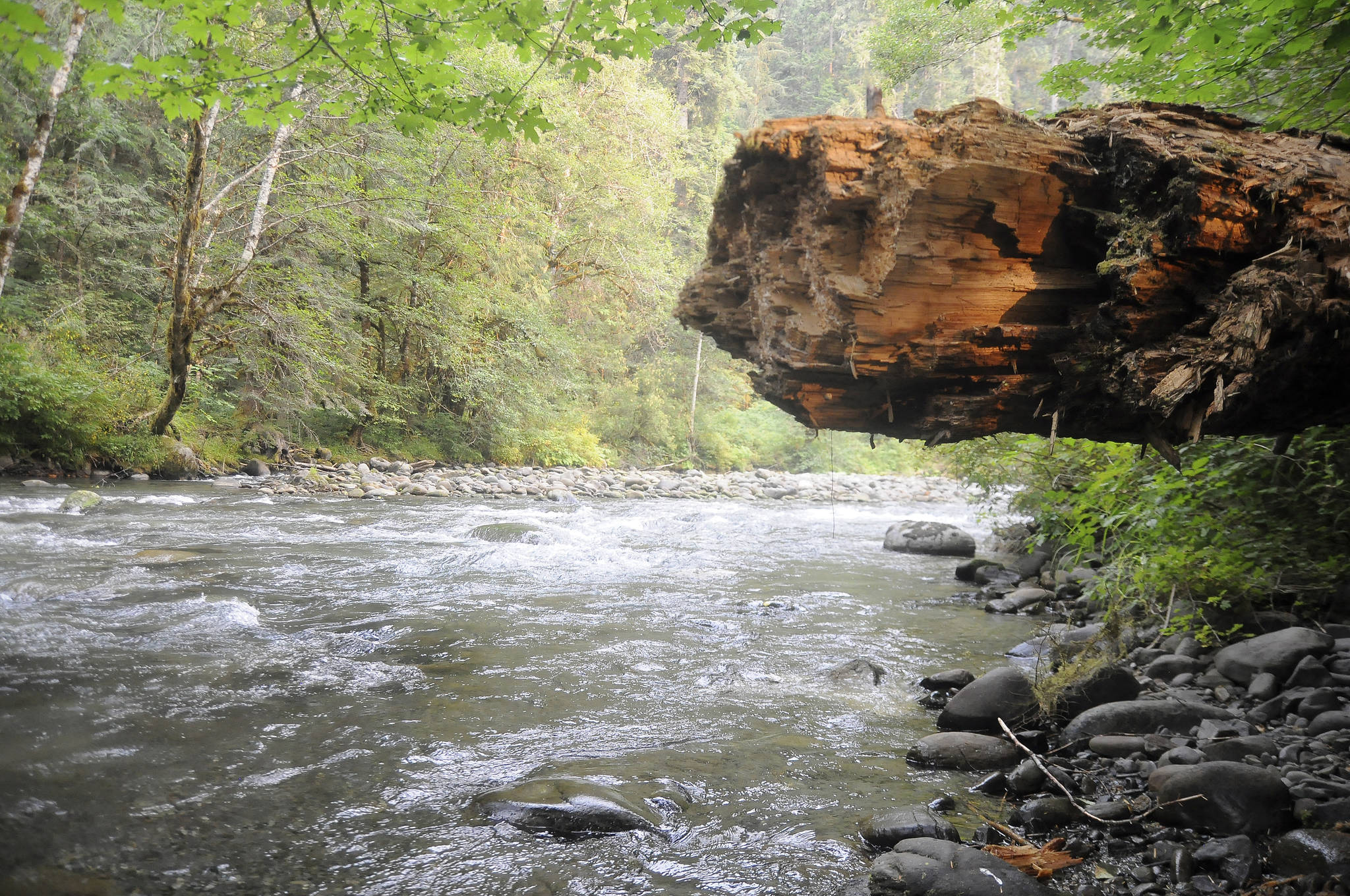 On the Trail: Day trip delight on the Gray Wolf Trail