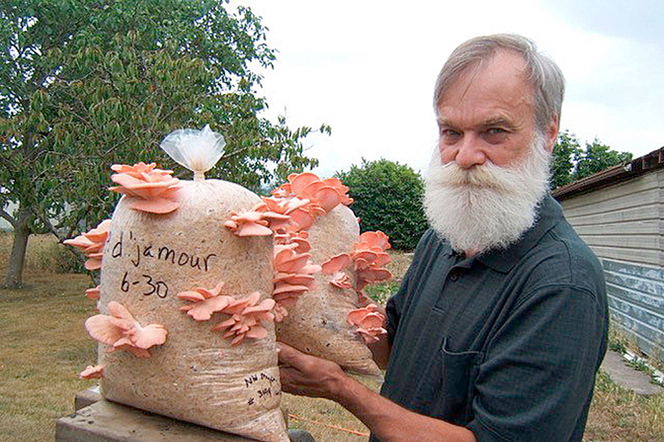 learn-how-to-cultivate-mushrooms-sequim-gazette