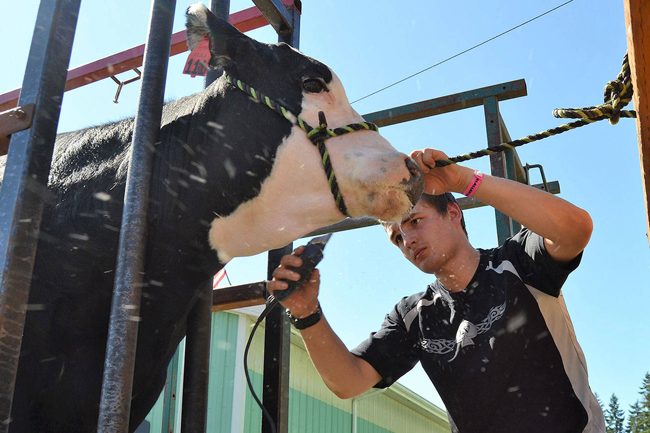 Attendance up at 98th annual county fair, officials report