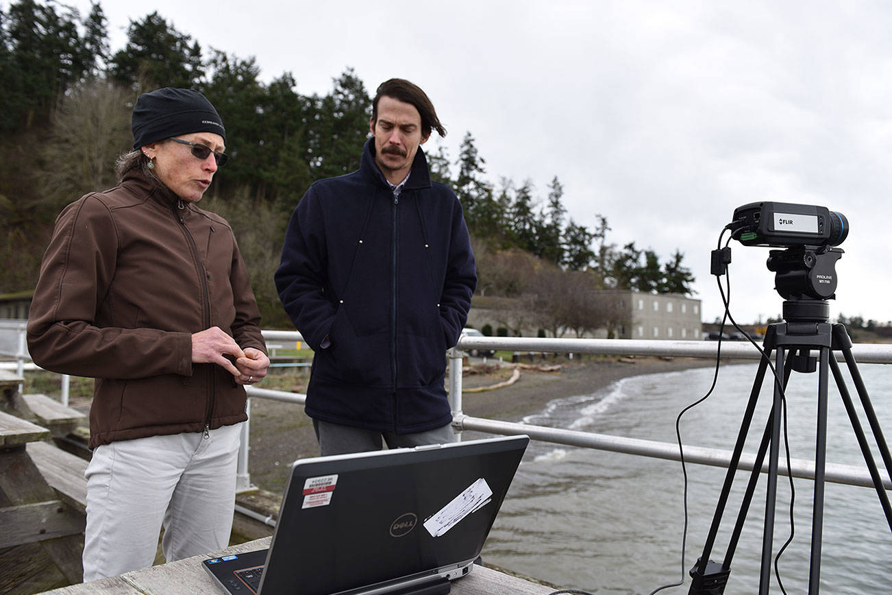 Sequim lab looks to help place bird-friendly wind turbines in ocean