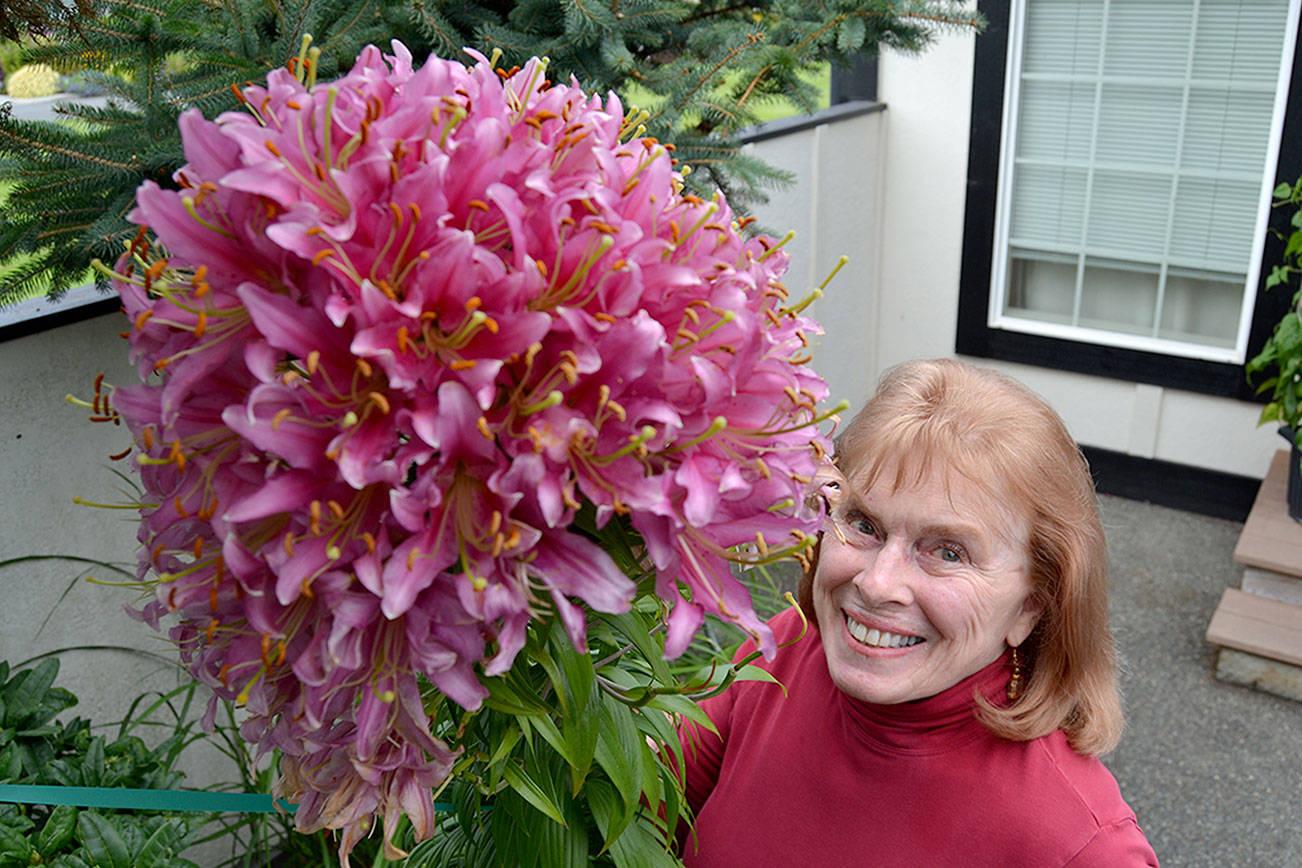 Sequim woman discovers rare lily in backyard