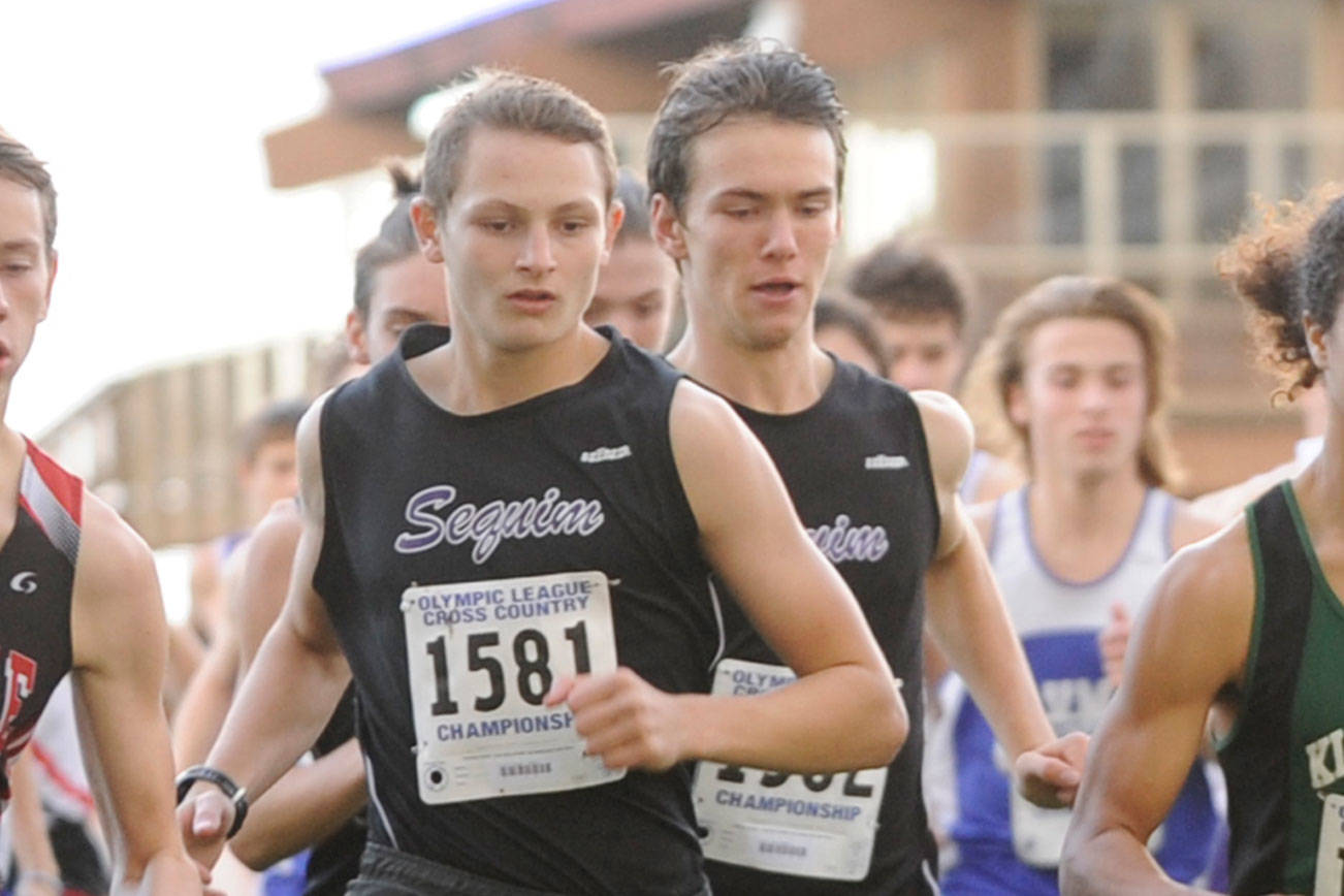 Fall sports preview: Wolves cross country squads look to climb back to state