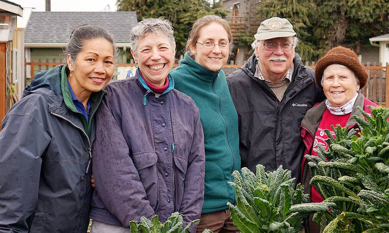 Audreen Williams, Jeanette Stehr-Green, Laurel Moulton, Bob Cain and Lois Bellamy will lead a walk through the Fifth Street Community Garden, 328 E. Fifth St., Port Angeles, at 10 a.m. Saturday, Sept. 9. The walk is part of the Second Saturday Garden Walks educational series sponsored by WSU Clallam County Master Gardeners to help home gardeners learn what needs to be done in the vegetable garden each month and what problems are likely to appear throughout the growing season. Submitted photo