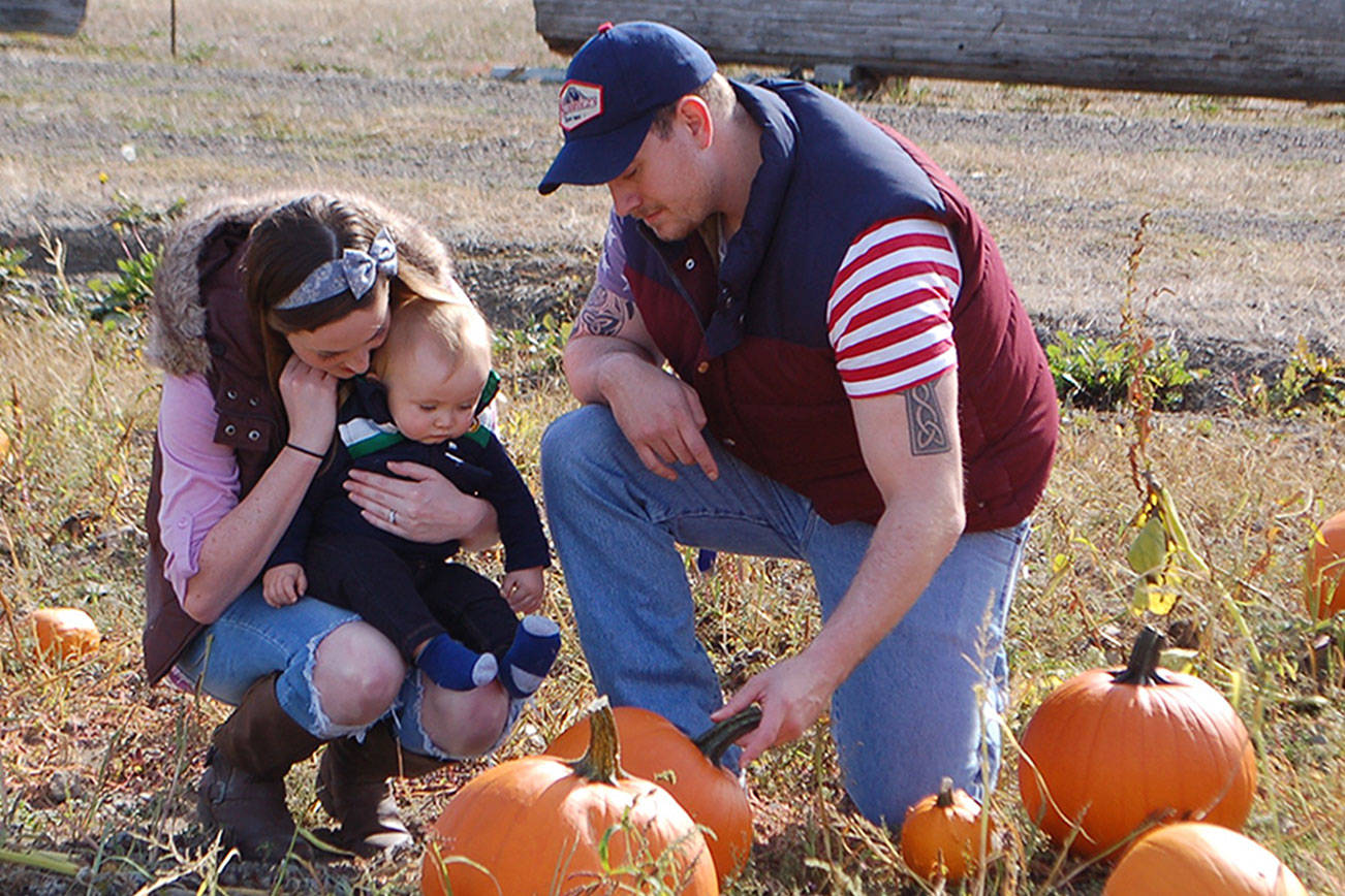 Sequim Pumpkin Patch ready for fall festivities