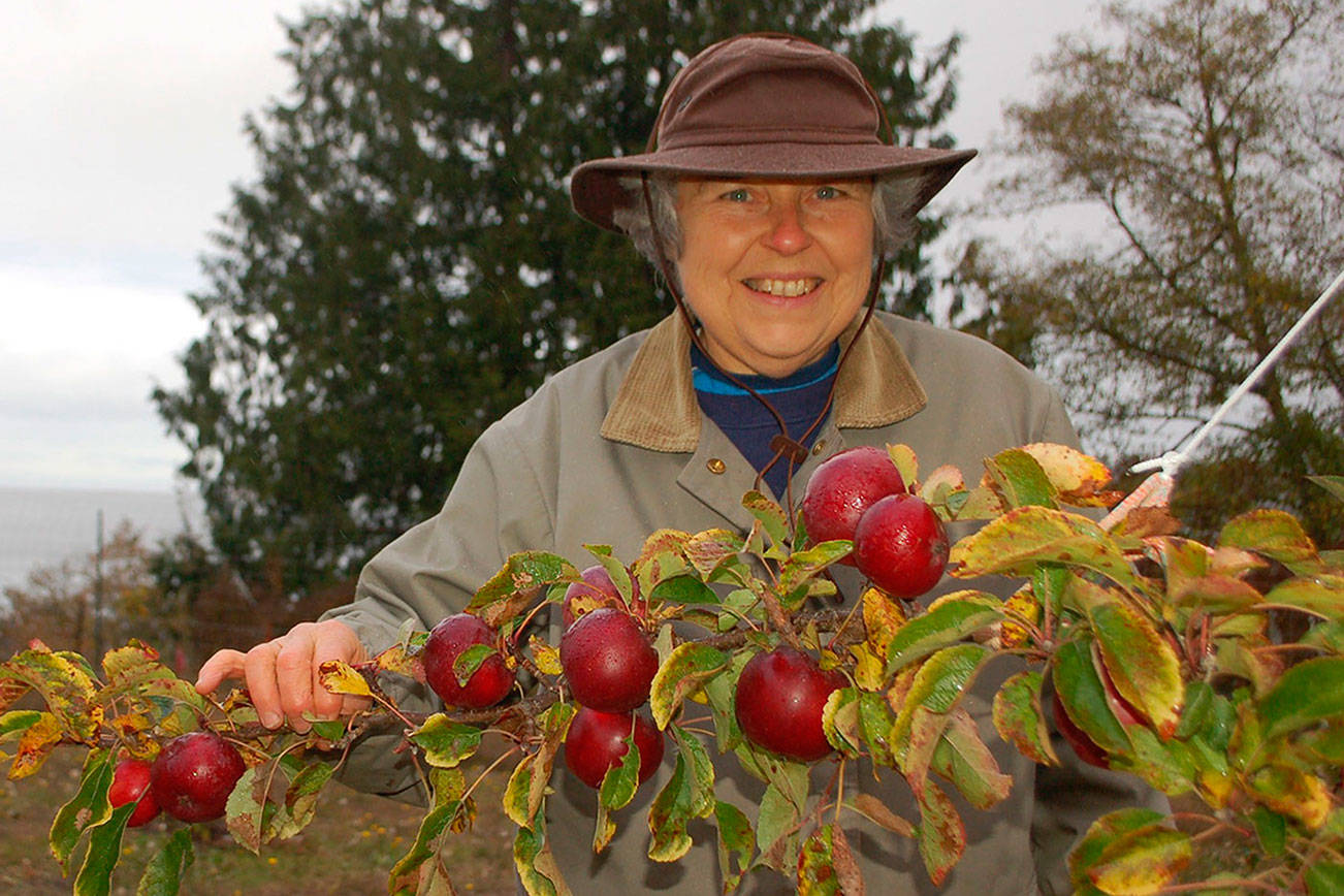 Join in the fun at the Fall Fruit Show