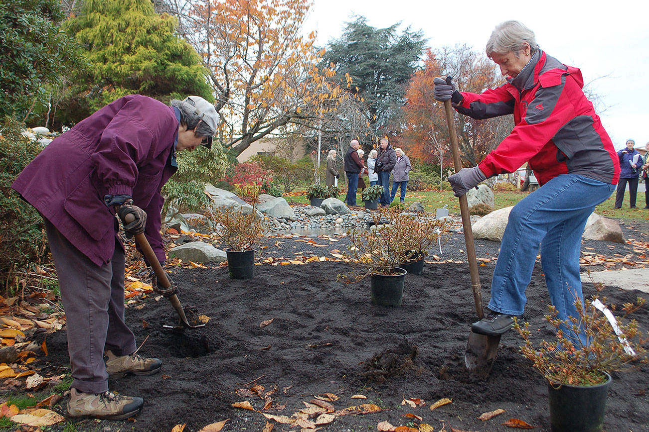 Landscape started at Pioneer Memorial Park