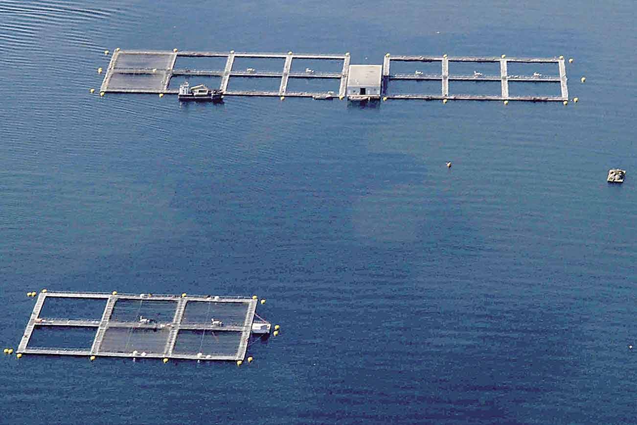 Cooke Aquaculture says DNR had no reason to terminate lease in Port Angeles Harbor