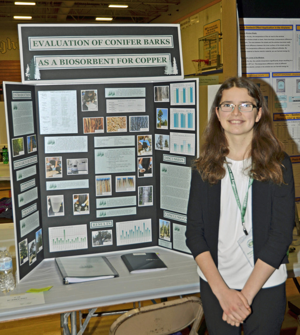 Sequim students take top honors at state science, engineering fair ...